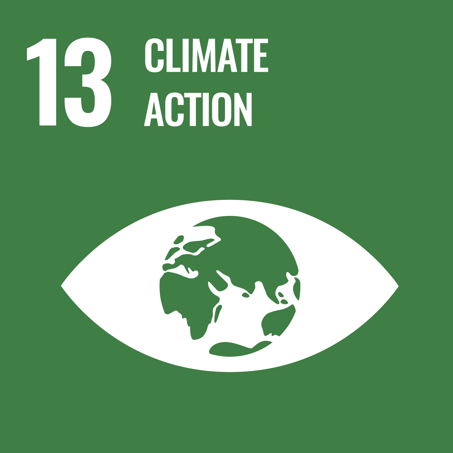 Dark green square with white text that says 13: Climate Action